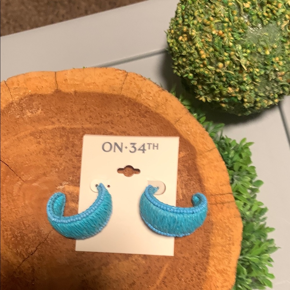 Blue Earrings
